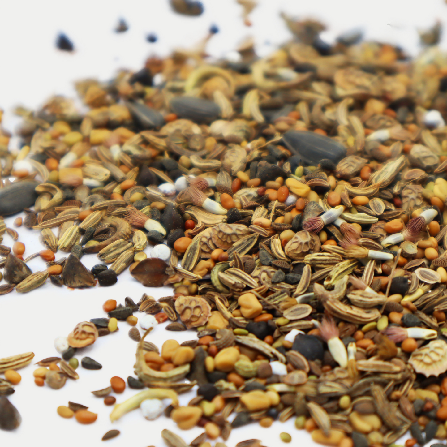 Bee Kind Wildflower Seed MIx