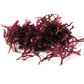 Wild Irish Sea Moss Hand Soap Bar