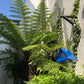 Powder Coated Metal Bird Feeders