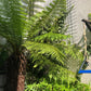 Powder Coated Metal Bird Feeders