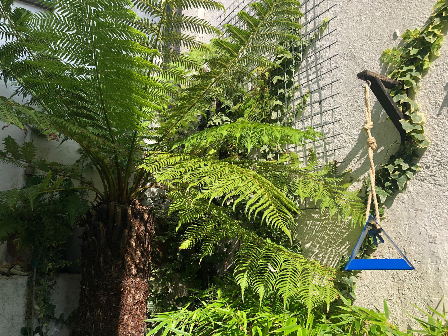 Powder Coated Metal Bird Feeders